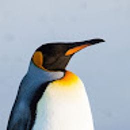noRules
