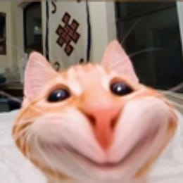 inf1n1tu