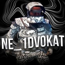 ne_1dvokat