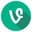 vine_nation