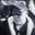 johntoth