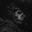 ghost_press_f
