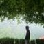 J a n d o n. unlucky 乡